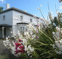 The Grove Cottages - Maitland Accommodation