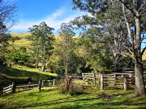 Nirvana Spiritual Retreat - Maitland Accommodation 2