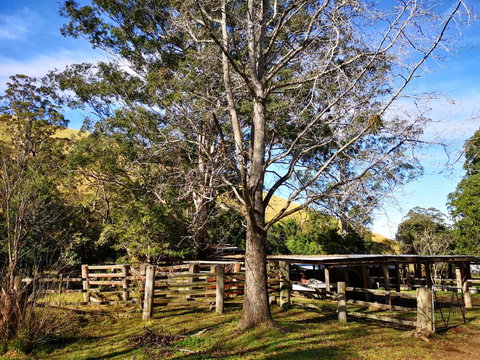 Nirvana Spiritual Retreat - Maitland Accommodation 1