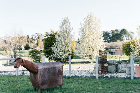 Omaroo - Maitland Accommodation 2