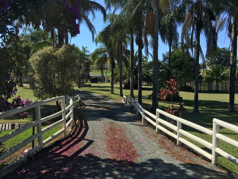 Palms Oasis Motel - Maitland Accommodation 3