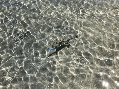 Peppermint Grove Beach Holiday Park - Maitland Accommodation 1