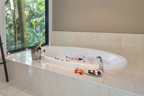 Pethers Rainforest Retreat - Maitland Accommodation 2