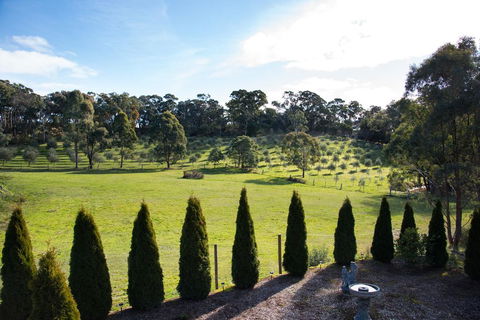 Phoenix - Maitland Accommodation 3