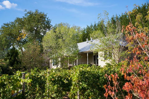 Provence Spa Villa 2 - Maitland Accommodation 2