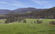 Quins Gap Private Retreat - thumb 0