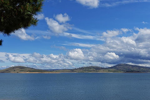 Rainbow Pines Tourist Caravan Park - Maitland Accommodation 0