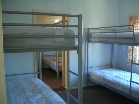 Rainbow Pines Tourist Caravan Park - Maitland Accommodation 2