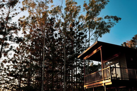 Rainforest Gardens - Luxury Hillside Chalets With Views To Bay & Islands - Maitland Accommodation 2