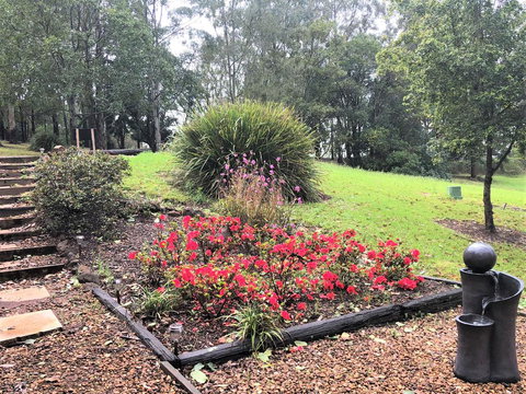 Ravensbourne Escape-Tree Tops - Maitland Accommodation 2