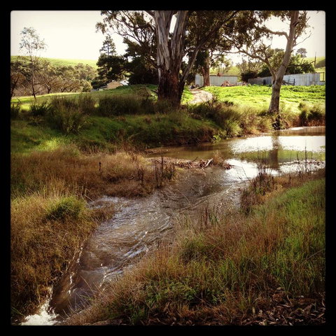 River Cottage Barossa -Self Contained-30 Acres-360 Degree Views-Netflix -Wine-Wifi - Maitland Accommodation 3