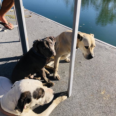 River Front Tranquil Retreat - Maitland Accommodation 3