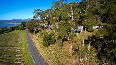 River Vineyard Retreat - Maitland Accommodation 1