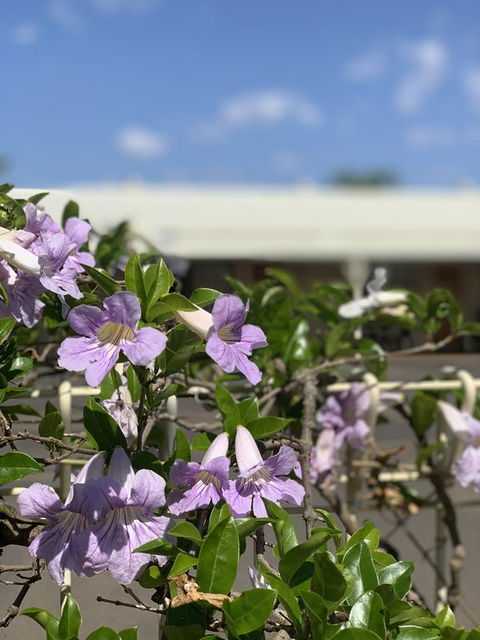 Riverland Motor Inn - Maitland Accommodation 3