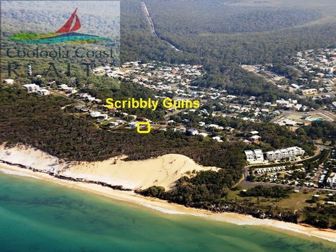 Scribbly Gums - Rainbow Beach, Ocean-front Spacious Home With Pool - Maitland Accommodation 2