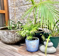 SEAeSCAPE Apollo Bay - Maitland Accommodation