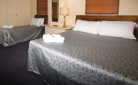 Seaton Arms Motor Inn - Maitland Accommodation 3