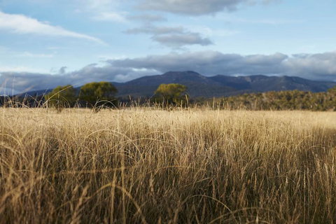 Second Flat Retreat - Maitland Accommodation 2