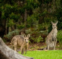 Secura Lifestyle Countryside Kalaru