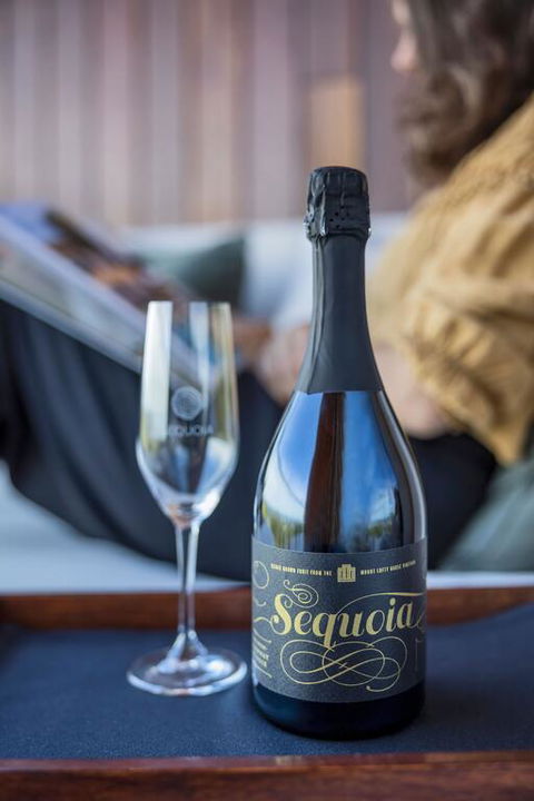 Sequoia Lodge - Maitland Accommodation 3