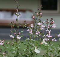 Serendipity on Allyn - Maitland Accommodation