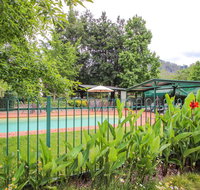 Silver Birches Holiday Unit 1 - Maitland Accommodation