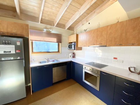 Snowdragon - Maitland Accommodation 1