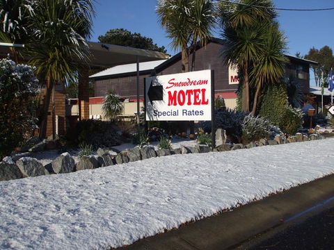 Snowdream Motel - Maitland Accommodation 1