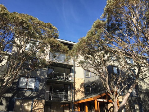 Snowflake 12 - Maitland Accommodation 0