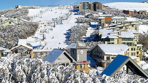 Snowflake 4 - Maitland Accommodation 1