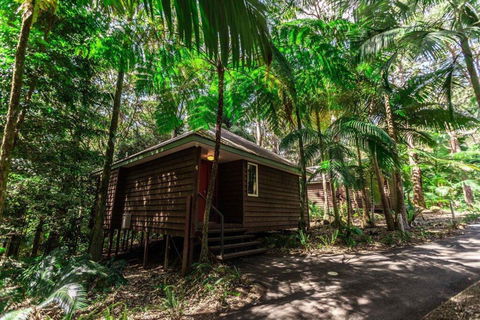 Songbirds Rainforest Retreat - Maitland Accommodation 2