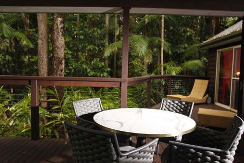Songbirds Rainforest Retreat - Maitland Accommodation 1