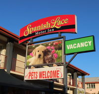 Spanish Lace Motor Inn - Maitland Accommodation