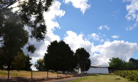 Springhill Winery - Maitland Accommodation 2