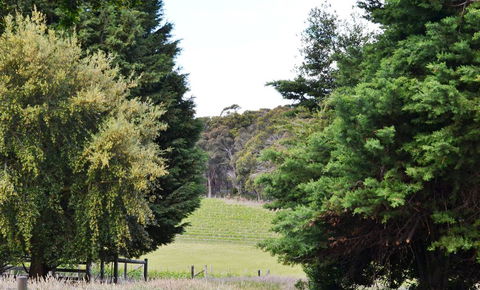 Springhill Winery - Maitland Accommodation 1