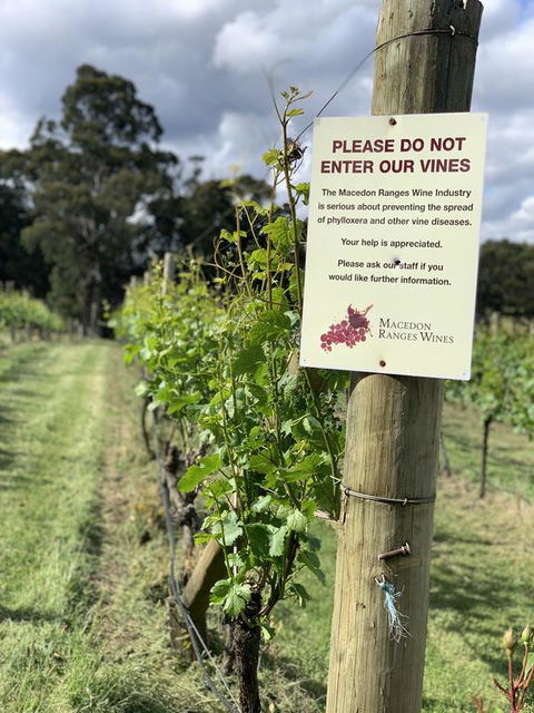 Springhill Winery - Maitland Accommodation 3