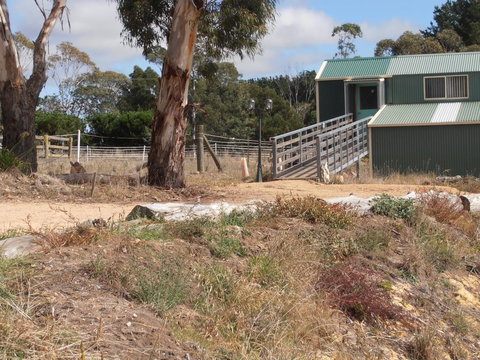 Springmead Rustic Cabin - Maitland Accommodation 1