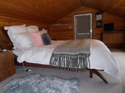 Springmead Rustic Cabin - Maitland Accommodation 2