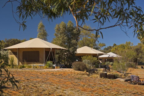 Squeakywindmill Boutique Tent B&B - Maitland Accommodation 0