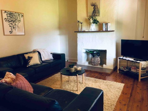 Stanton House, Central,Pets Welcome,Free WiFi&Breakfast! - Maitland Accommodation 2
