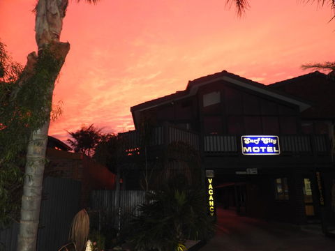 Surf City Motel - Maitland Accommodation 0