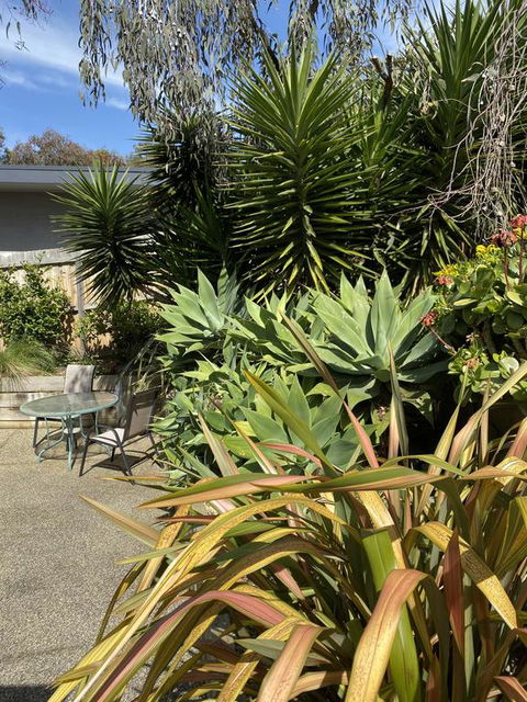 Surf Coast Haven - Maitland Accommodation 3