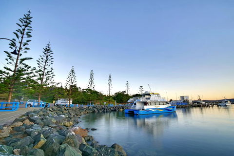 The Beach Retreat Eden - Maitland Accommodation 2