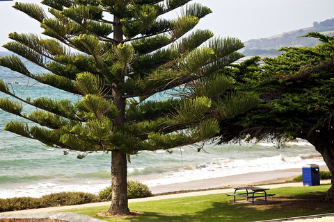 Penguin Beachfront Apartments - Maitland Accommodation 9