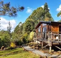 Southern Forest Accommodation - Maitland Accommodation