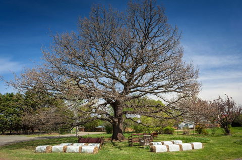 Ratho Farm - Maitland Accommodation 8