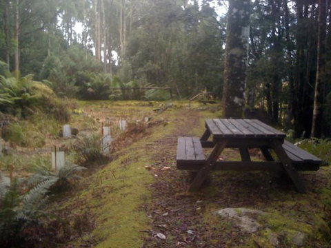 Sassafras Springs - Maitland Accommodation 9