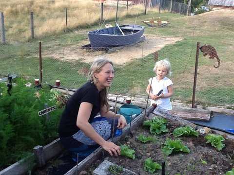 Sassafras Springs - Maitland Accommodation 35