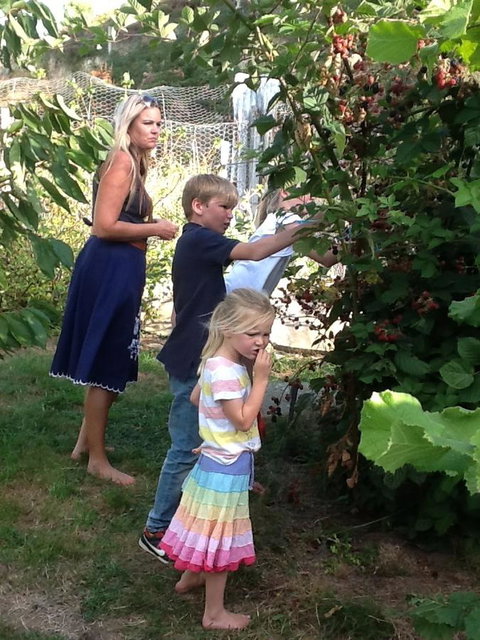 Sassafras Springs - Maitland Accommodation 34