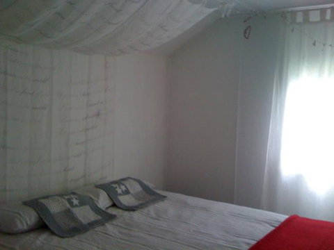 Sassafras Springs - Maitland Accommodation 20